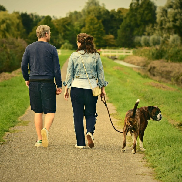 couple walking dog