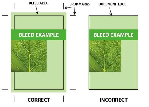 bleed example — crop marks and bleed area 