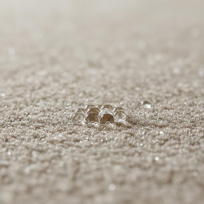 Close-up of water beads sitting on top of stain-resistant carpet fibers.