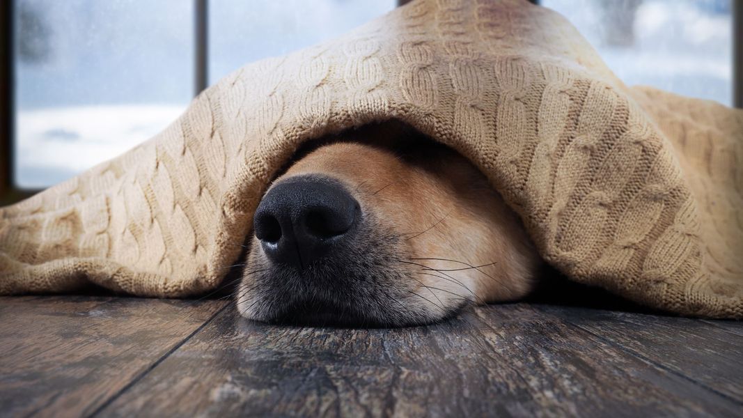 Header for - Blog, Contact, etc.jpg