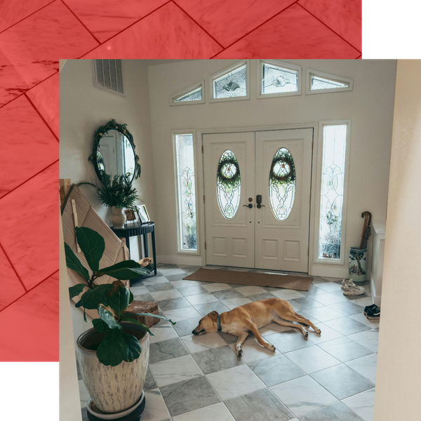 entry tile floor with dog