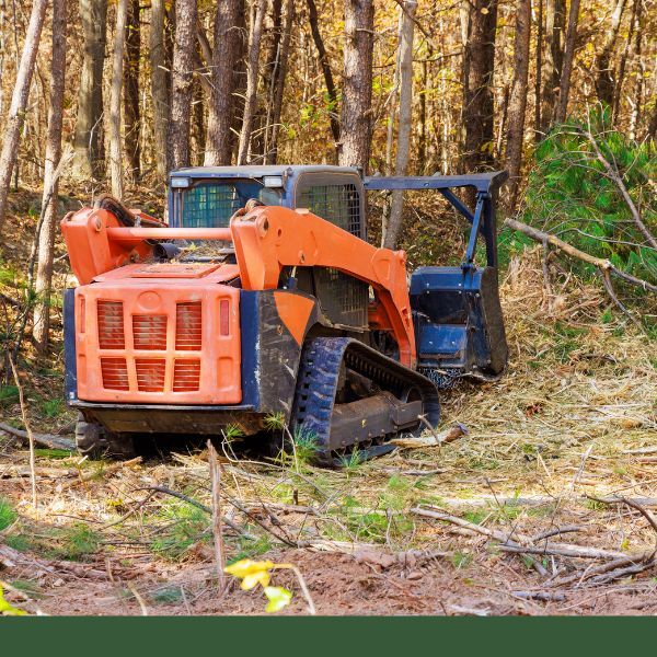 Forestry Mulching (2).jpg