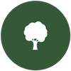 icon - tree.png