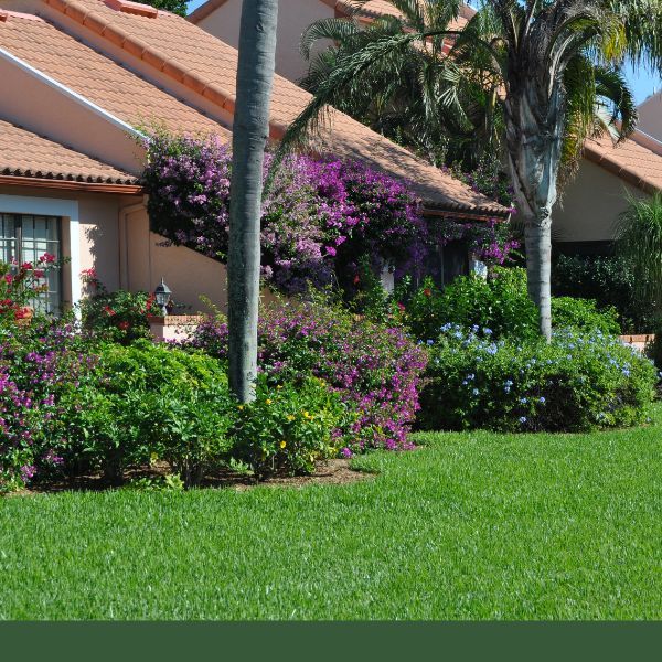 Florida home lawn