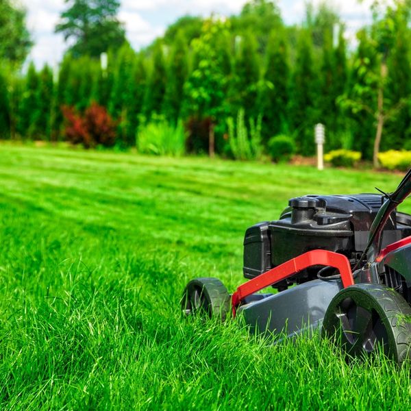 Lawn Care.jpg