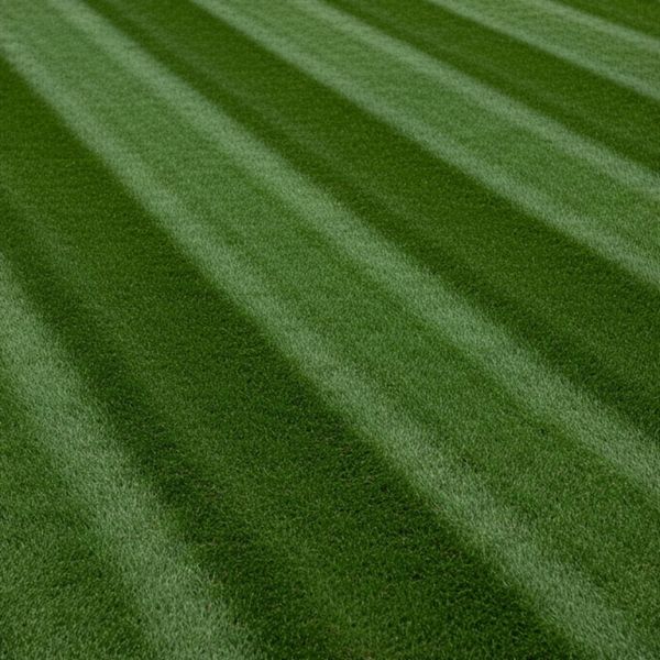Close-up of perfectly cut and maintained green lawn turf. Close-up of perfectly cut and maintained green lawn turf.