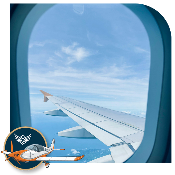 view from airplane window