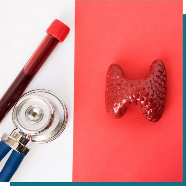 parathyroid (3) (1).png