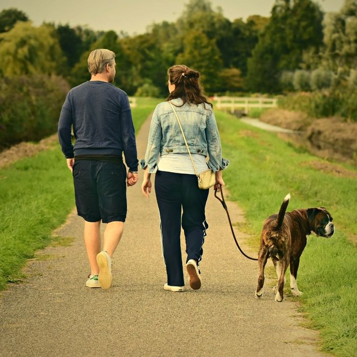 couple on a walk with their dog couple on a walk with their dog