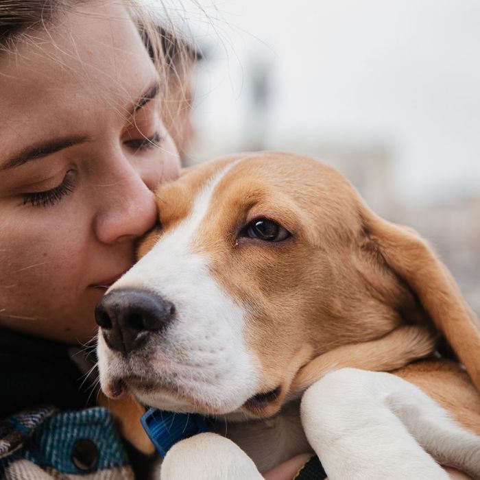 Pet-Friendly Spaces for Your Furry Family Members.jpg