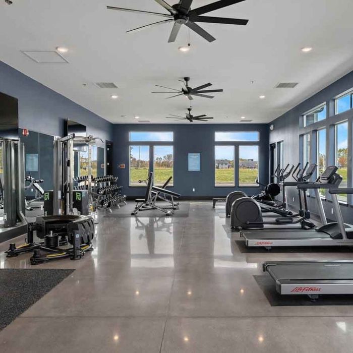 empty gym with cardio equipment and free weights