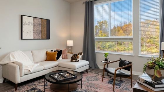 Hero Pet-Friendly Spaces That Feel Like Home.jpg