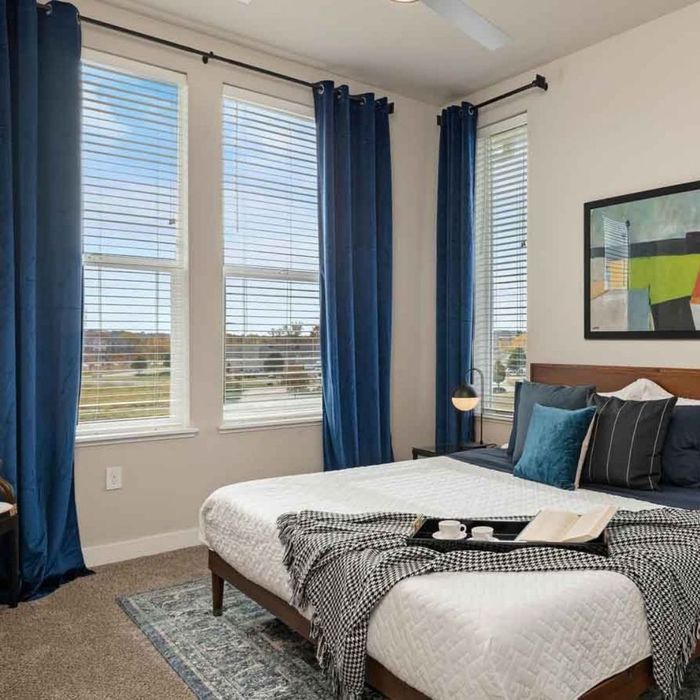 3 Pet-Friendly Spaces That Feel Like Home.jpg