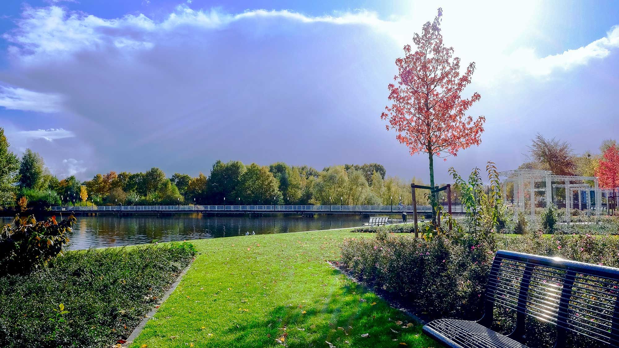 waterscapeHeader.jpg
