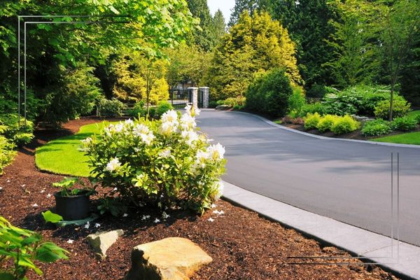 A landscaped residential driveway.
