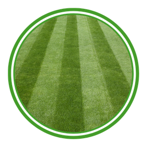 Lawn Care Icn1.png