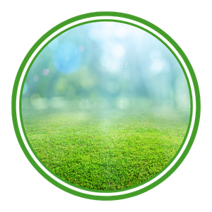 Lawn Care Icn2.png