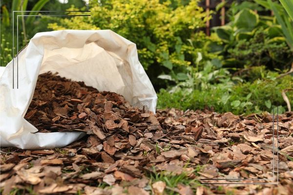 A fresh, opened bag of mulch in a garden.