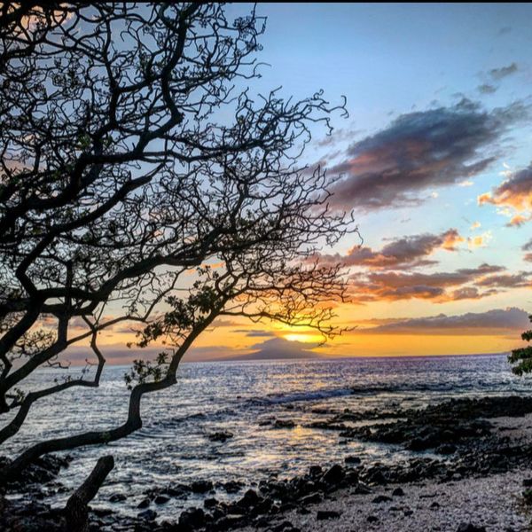 picture of the beach