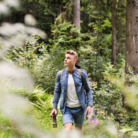 Person hiking in a forest