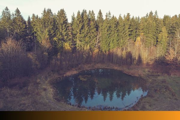 arial view of a pond 