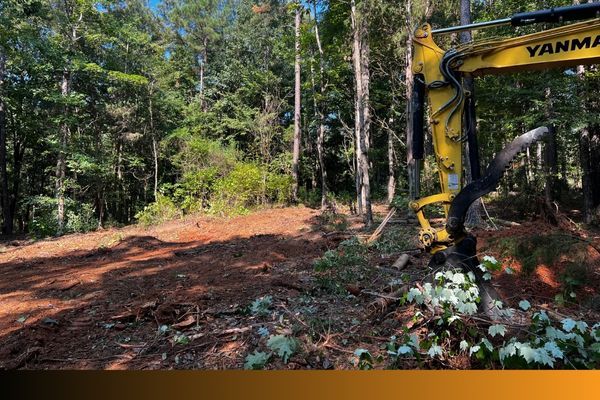 clearing brush pile 