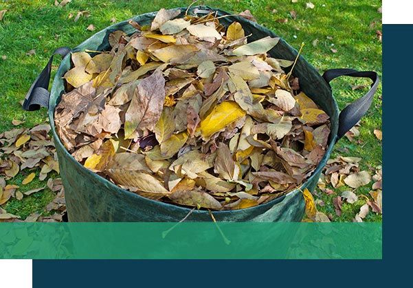 fall-leaf-cleanup-services-description.jpg