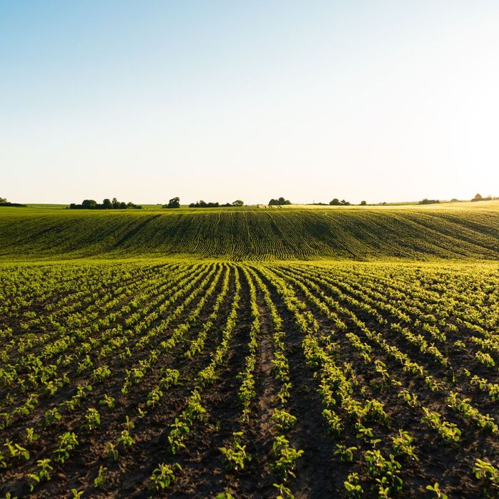 Versatility Of Aerial Photography In Agriculture 3.jpg