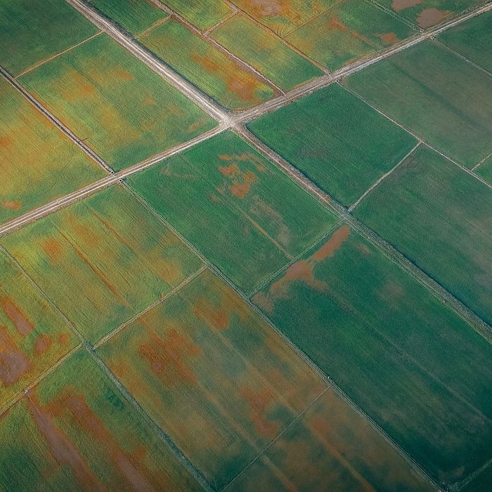 Aerial Image of Agricultural Land Mastering Aerial Photography with DJI Drones 4.jpg