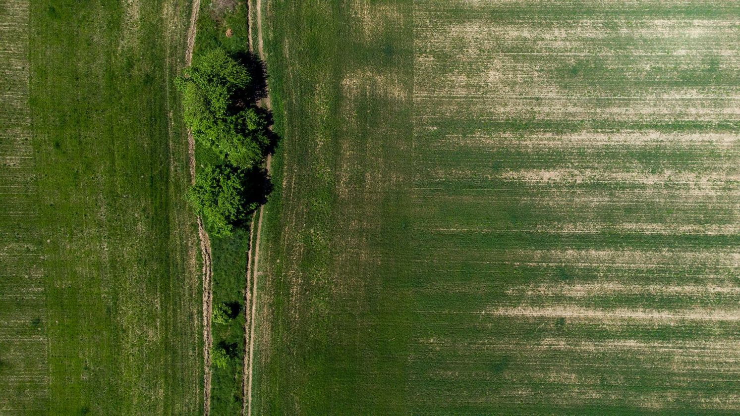 _Versatility Of Aerial Photography In Agriculture.jpg