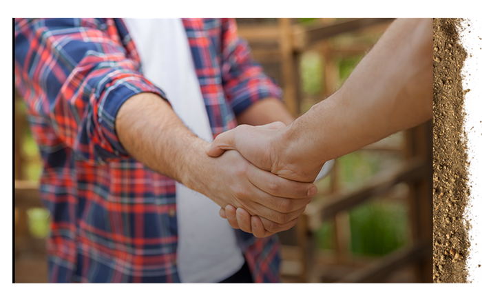 hand shake