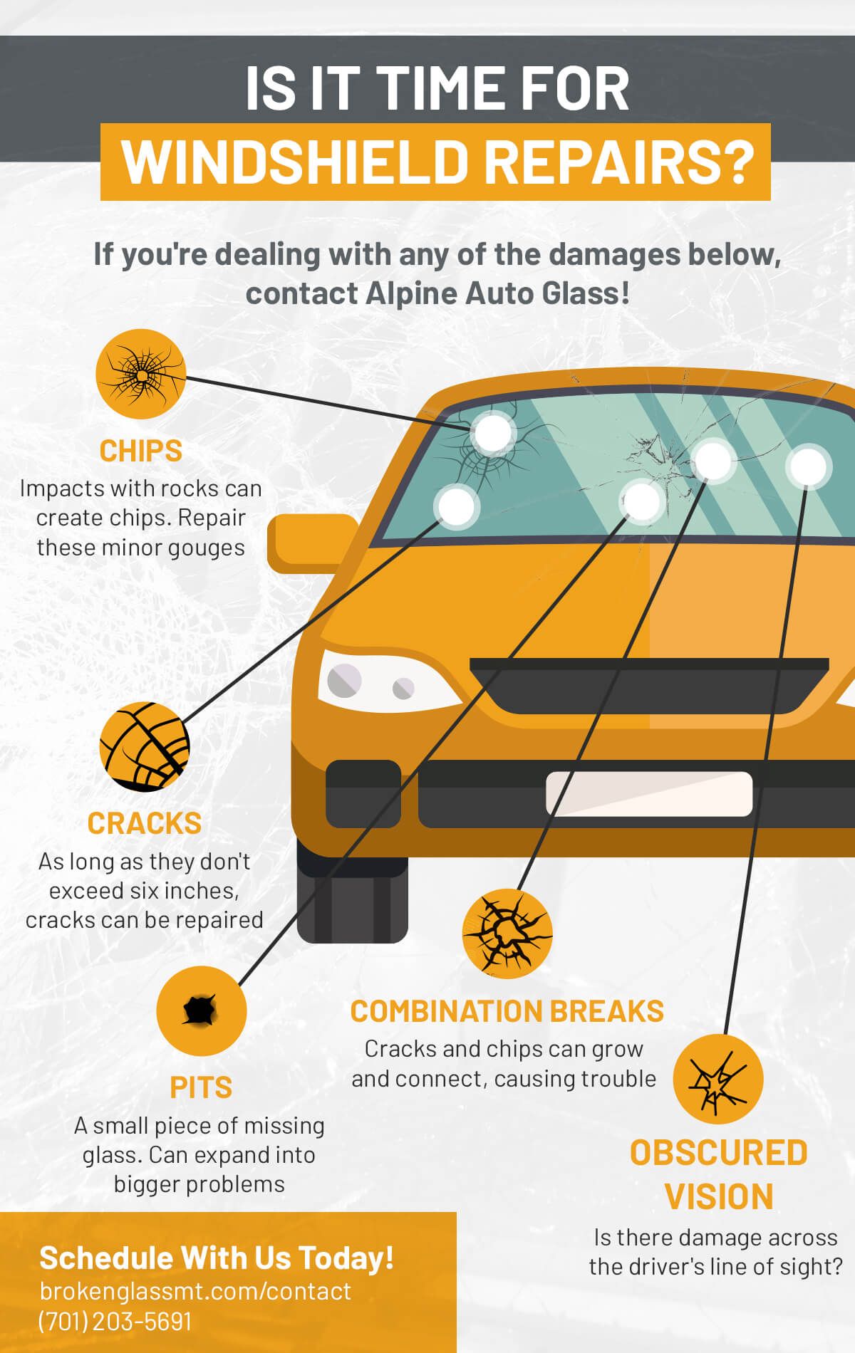 alpineauto-infographic-5e7d182e4147a.jpg