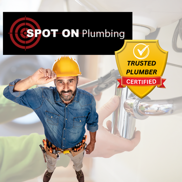 Licensed Plumber