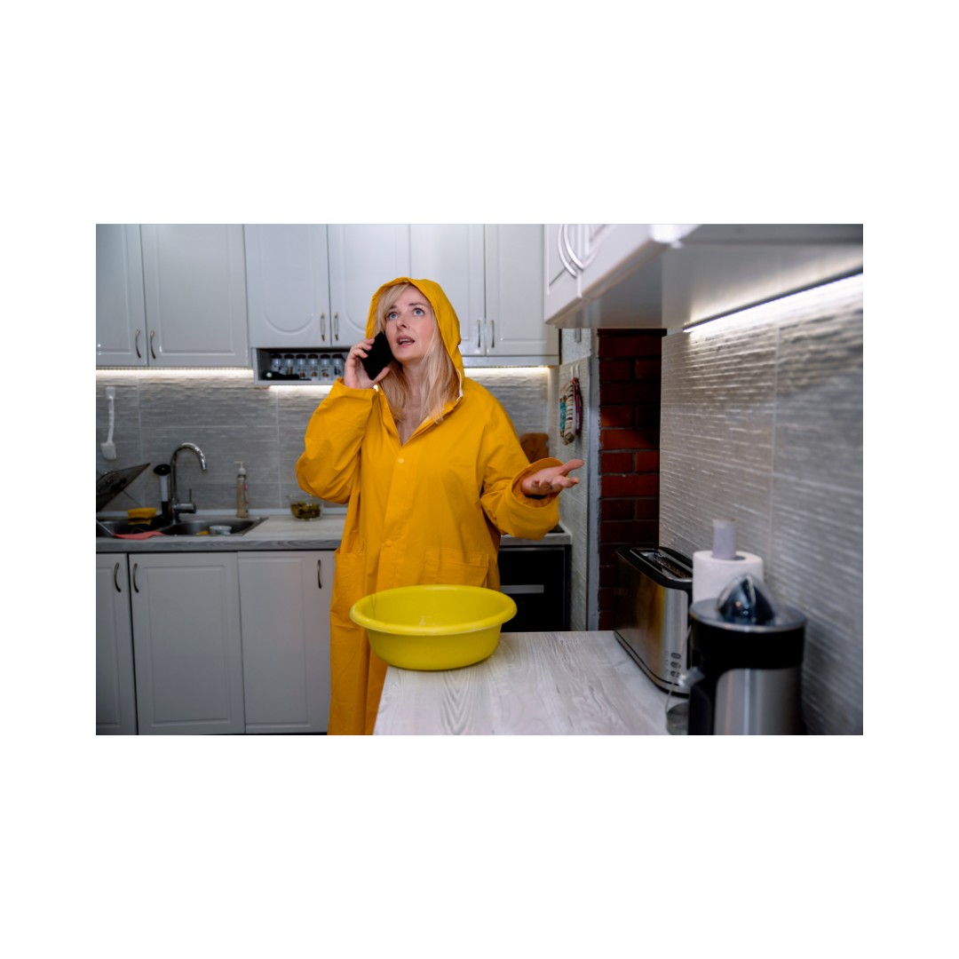 Untitled design (16).png