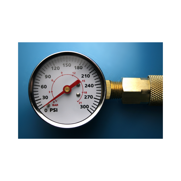 Untitled design (15).png