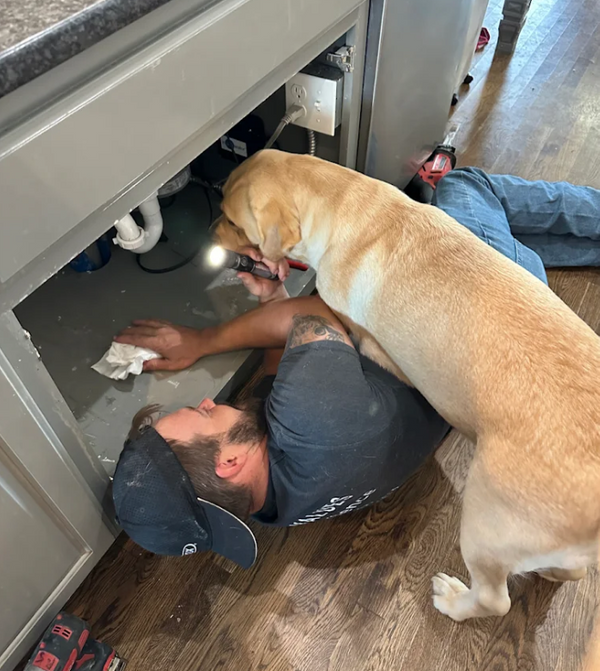 Plumber 