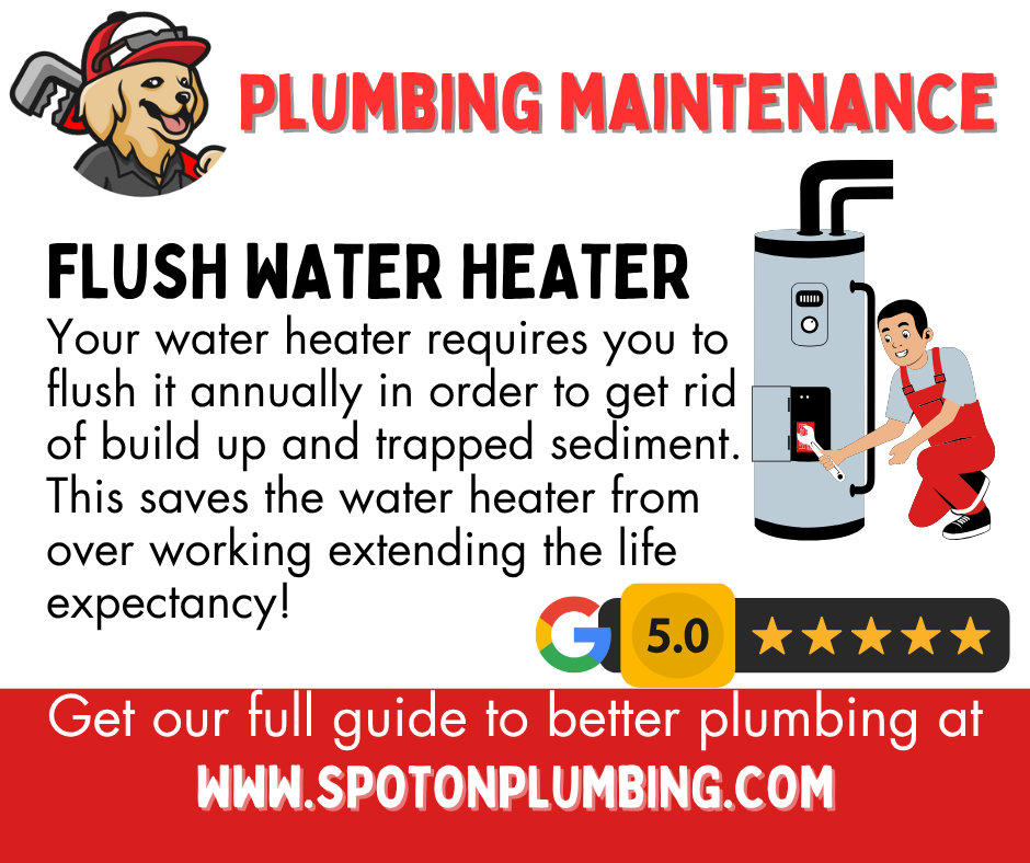 Flush Water Heater - blog post and socials .png