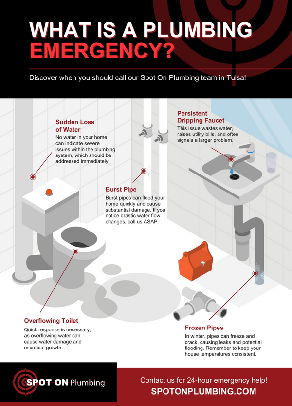 What is a Plumbing Emergency Infographic