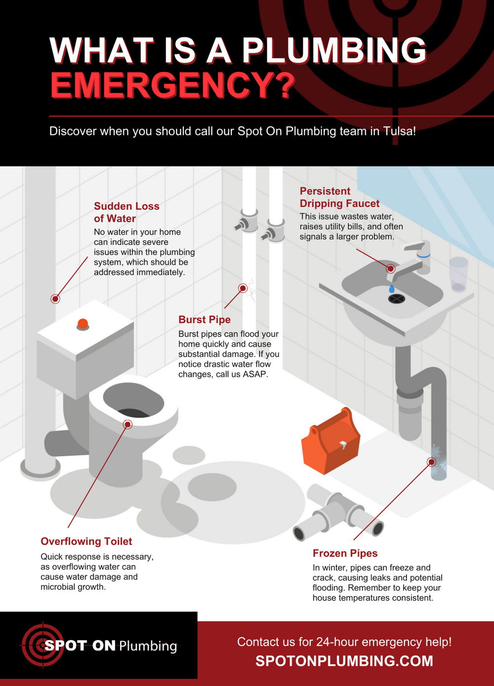What is a Plumbing Emergency Infographic