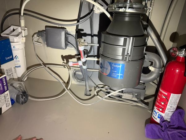 Sep 4 2025 garbage disposal 4.jpg