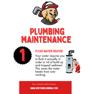 Plumbing Maintenance Graphic Short 1 (1).png
