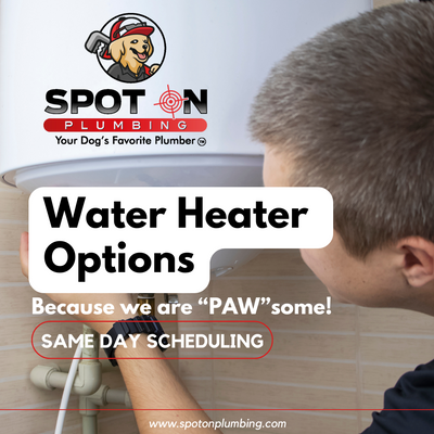 Water Heater Options