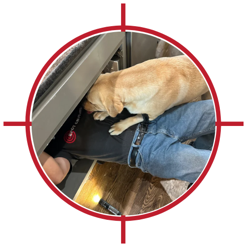 Leak Detection Plumbers Tulsa