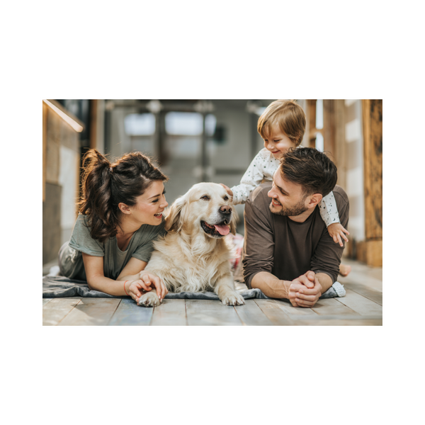 Untitled design (18).png