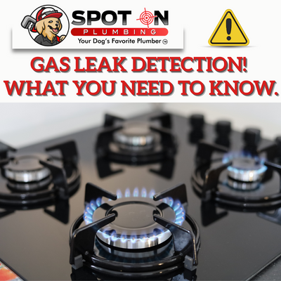Gas Leak Detection (1).png