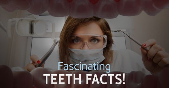 Fascinating-Teeth-Facts-599c47a227ce2.jpg
