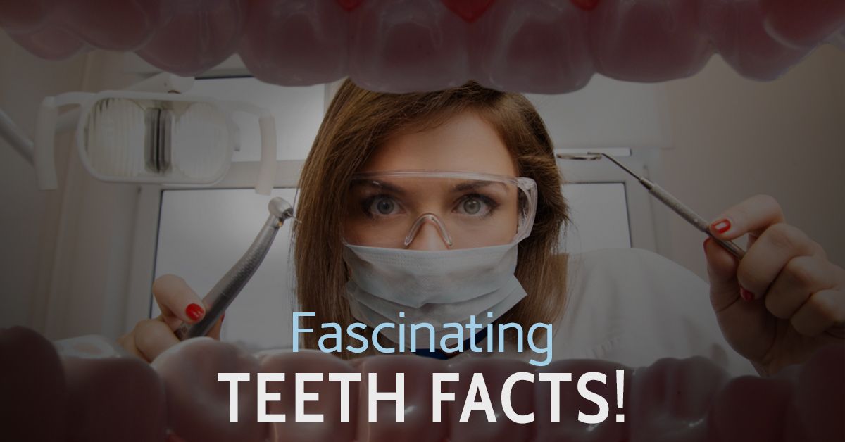 Fascinating-Teeth-Facts-599c47a227ce2.jpg