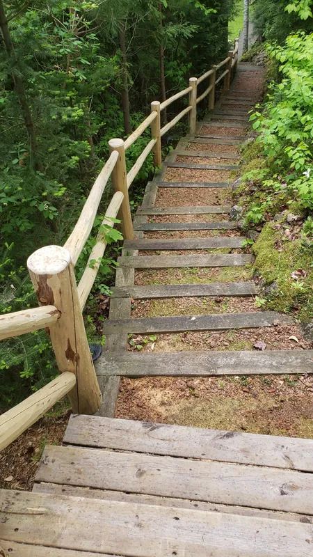 LOG RAILINGS