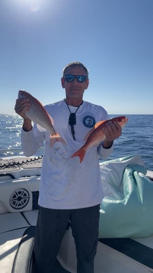 Destin Offshore Fishing Charter Photo