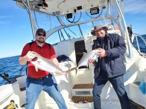 Destin Offshore Fishing Charter Photo